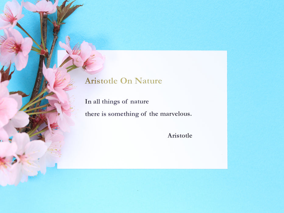 Inspiring card with the title 'Aristotle on Nature' with a poem from Aristotle